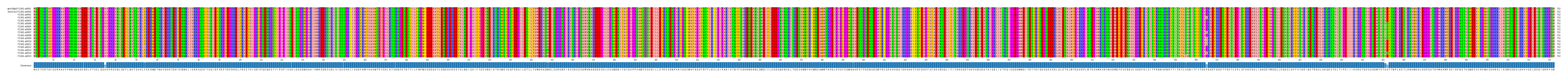 Multiple Alignments (by translate haplotype frequency)