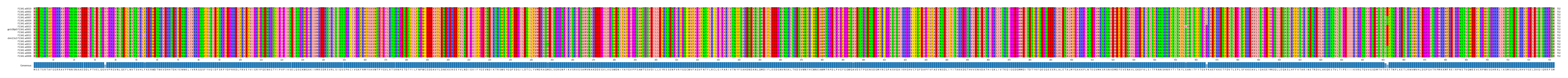 Multiple Alignments (by translate haplotype similarity)
