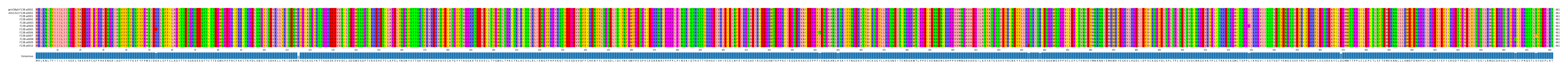 Multiple Alignments (by translate haplotype frequency)
