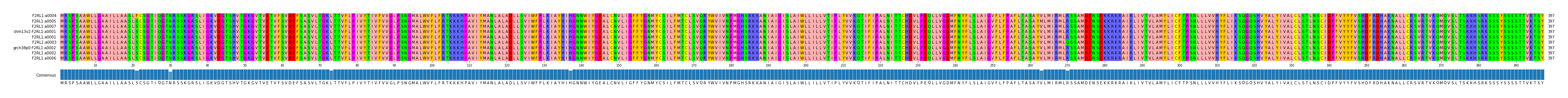 Multiple Alignments (by translate haplotype similarity)