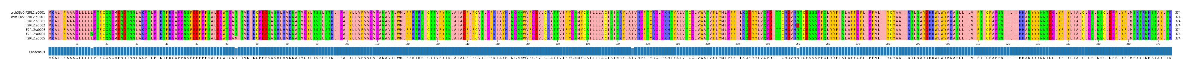 Multiple Alignments (by translate haplotype frequency)