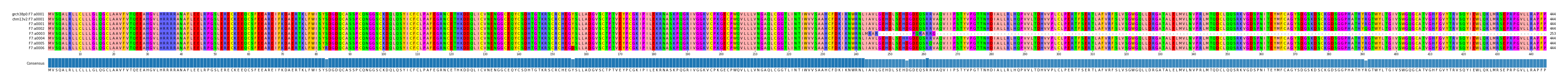 Multiple Alignments (by translate haplotype frequency)