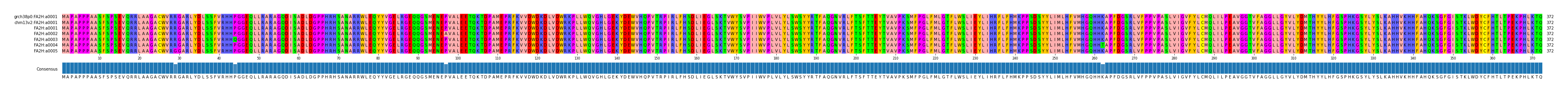 Multiple Alignments (by translate haplotype frequency)