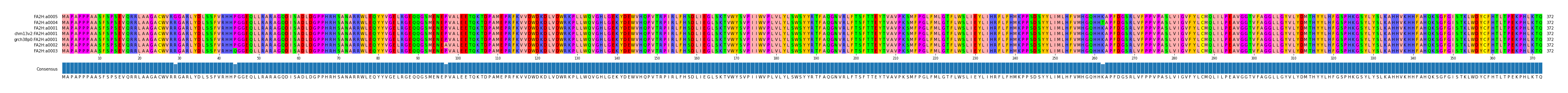 Multiple Alignments (by translate haplotype similarity)