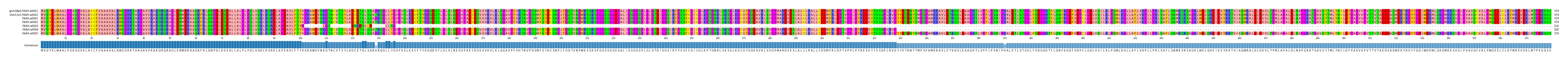 Multiple Alignments (by translate haplotype frequency)