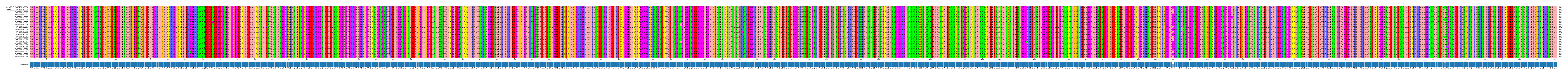 Multiple Alignments (by translate haplotype frequency)