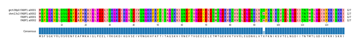 Multiple Alignments (by translate haplotype frequency)