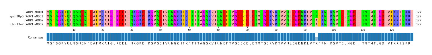 Multiple Alignments (by translate haplotype similarity)