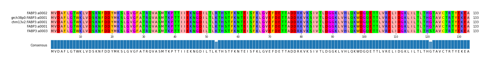 Multiple Alignments (by translate haplotype similarity)