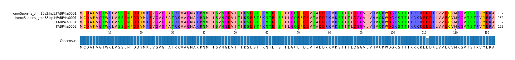 Multiple Alignments (by translate haplotype frequency)