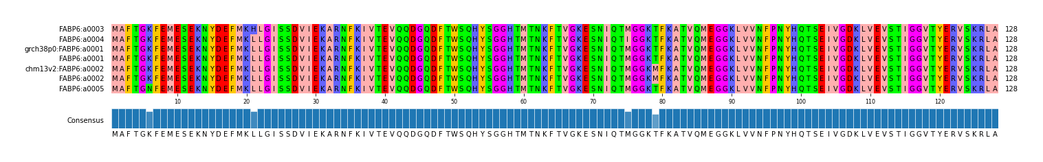 Multiple Alignments (by translate haplotype similarity)