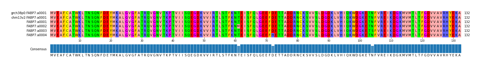 Multiple Alignments (by translate haplotype frequency)