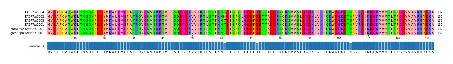 Multiple Alignments (by translate haplotype similarity)