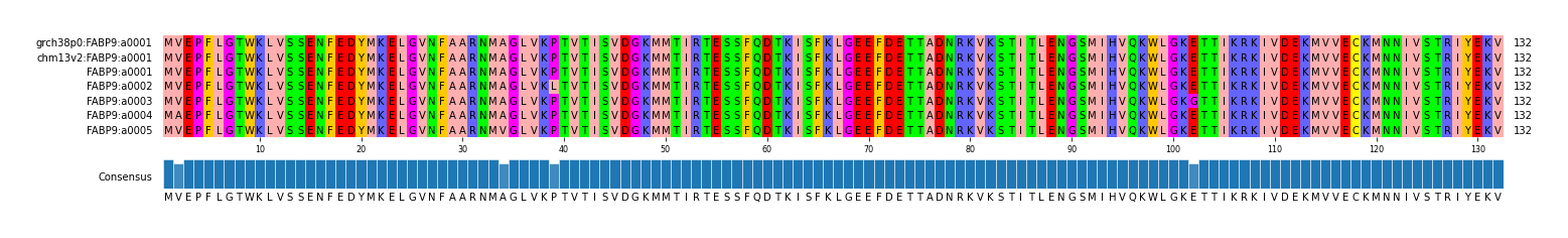 Multiple Alignments (by translate haplotype frequency)