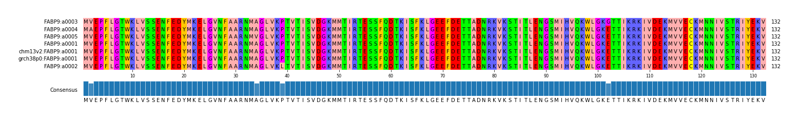 Multiple Alignments (by translate haplotype similarity)