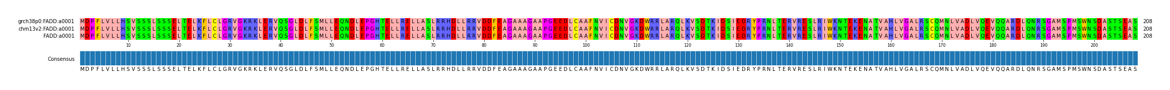 Multiple Alignments (by translate haplotype similarity)