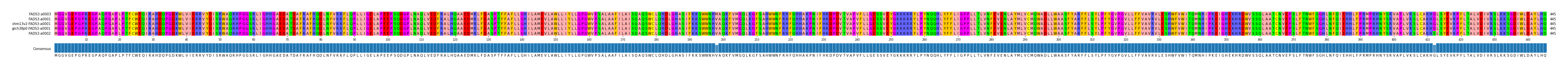 Multiple Alignments (by translate haplotype similarity)
