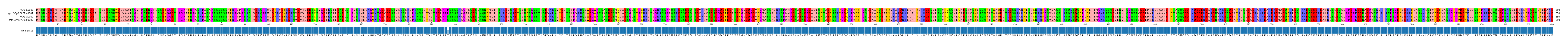 Multiple Alignments (by translate haplotype similarity)