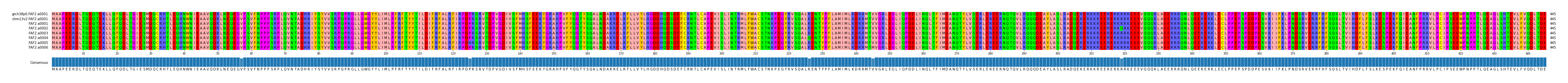 Multiple Alignments (by translate haplotype frequency)