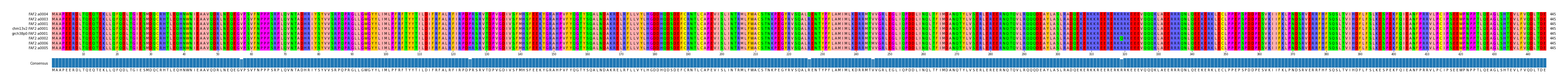 Multiple Alignments (by translate haplotype similarity)