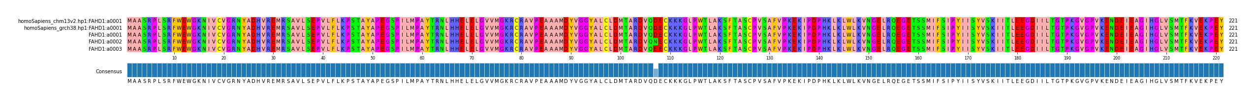 Multiple Alignments (by translate haplotype frequency)