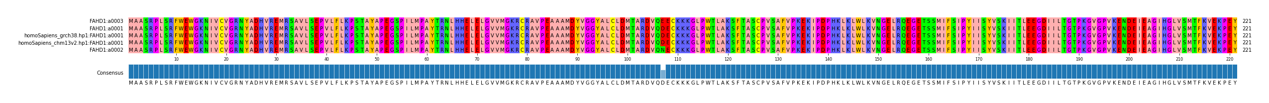 Multiple Alignments (by translate haplotype similarity)