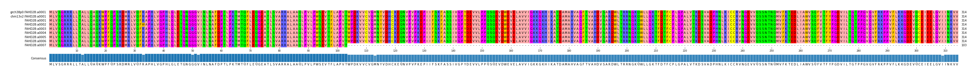 Multiple Alignments (by translate haplotype frequency)