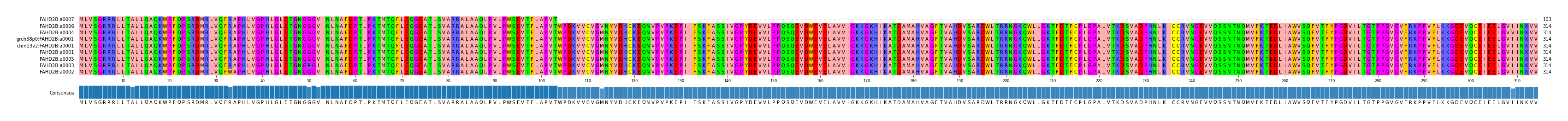 Multiple Alignments (by translate haplotype similarity)