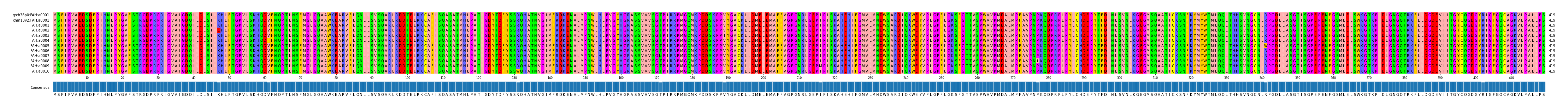 Multiple Alignments (by translate haplotype frequency)