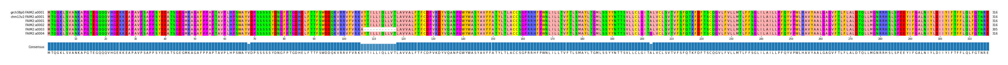Multiple Alignments (by translate haplotype frequency)