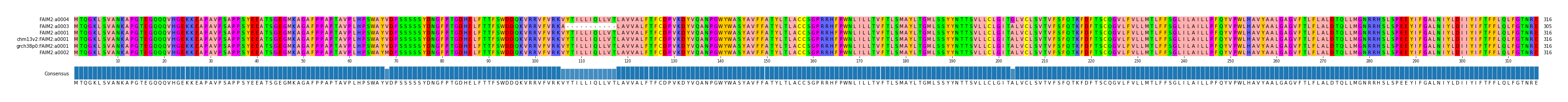 Multiple Alignments (by translate haplotype similarity)