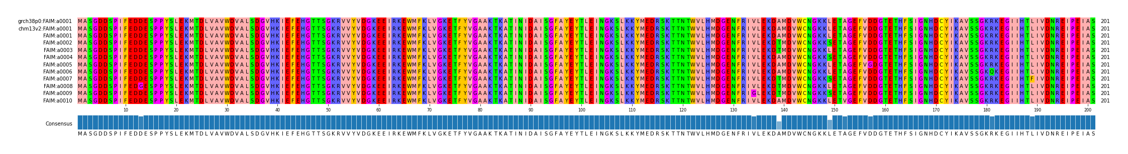 Multiple Alignments (by translate haplotype frequency)