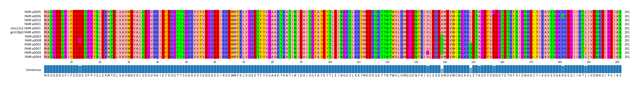Multiple Alignments (by translate haplotype similarity)