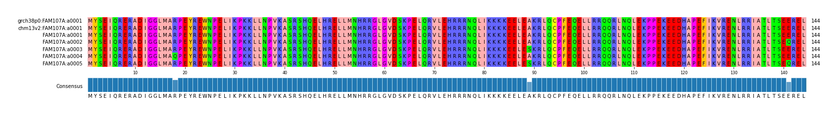 Multiple Alignments (by translate haplotype frequency)