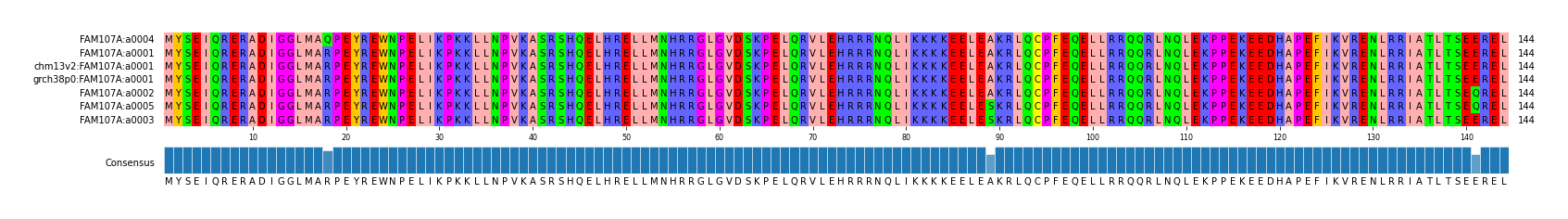 Multiple Alignments (by translate haplotype similarity)