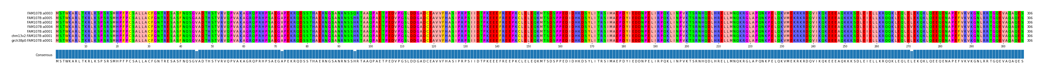 Multiple Alignments (by translate haplotype similarity)