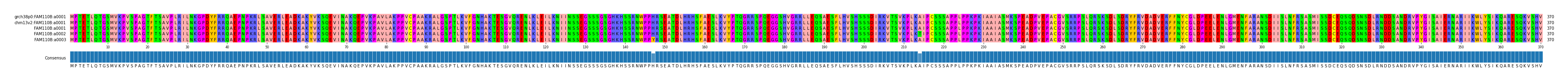 Multiple Alignments (by translate haplotype frequency)