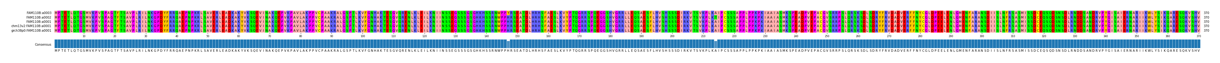 Multiple Alignments (by translate haplotype similarity)
