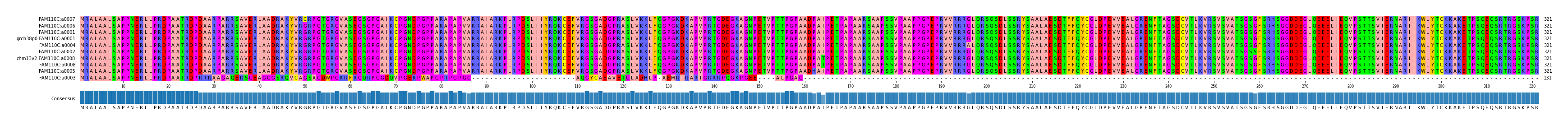 Multiple Alignments (by translate haplotype similarity)