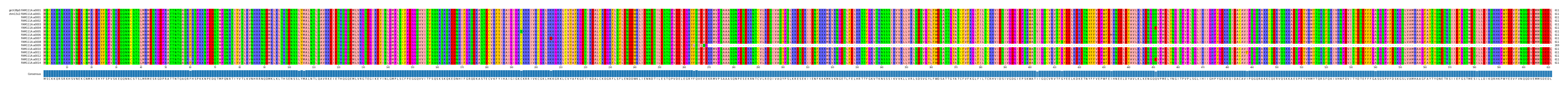 Multiple Alignments (by translate haplotype frequency)