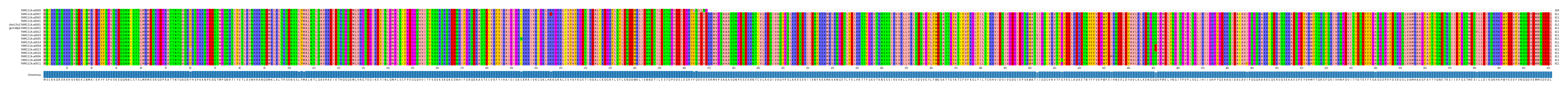 Multiple Alignments (by translate haplotype similarity)