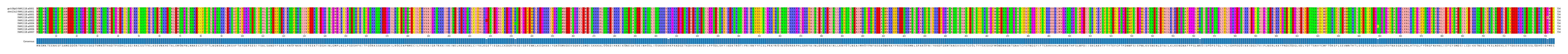 Multiple Alignments (by translate haplotype frequency)