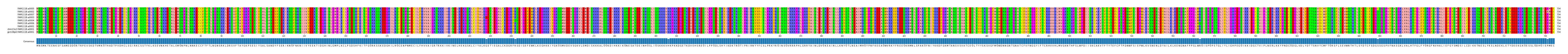 Multiple Alignments (by translate haplotype similarity)