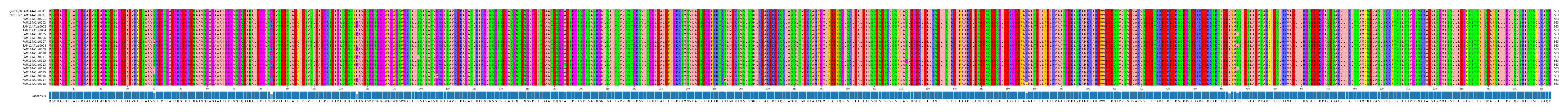 Multiple Alignments (by translate haplotype frequency)
