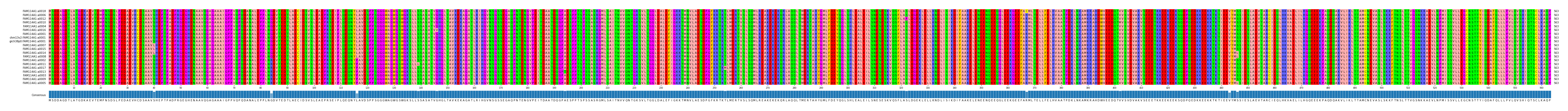 Multiple Alignments (by translate haplotype similarity)