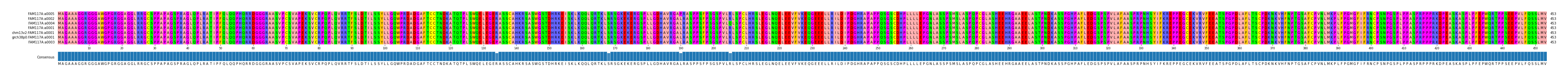 Multiple Alignments (by translate haplotype similarity)