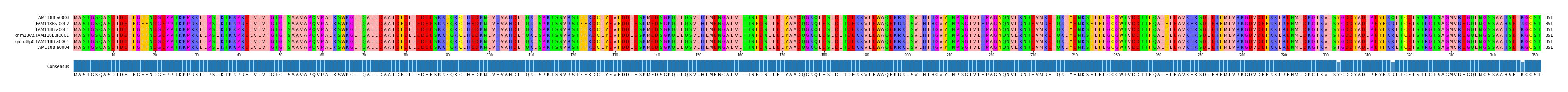 Multiple Alignments (by translate haplotype similarity)