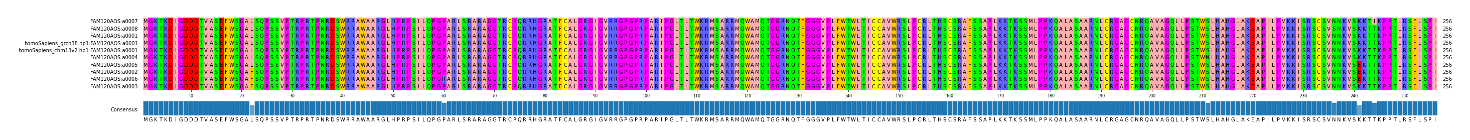 Multiple Alignments (by translate haplotype similarity)