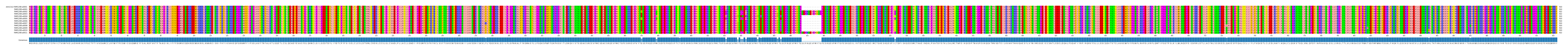 Multiple Alignments (by translate haplotype frequency)