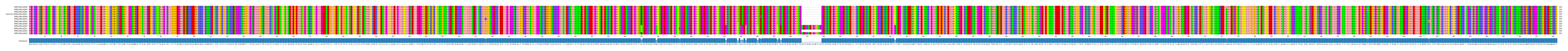 Multiple Alignments (by translate haplotype similarity)